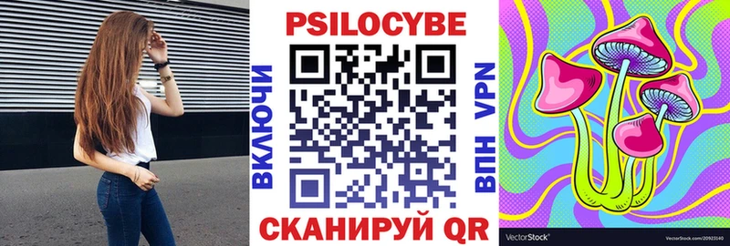 купить наркоту  Абаза  Псилоцибиновые грибы MAGIC MUSHROOMS 